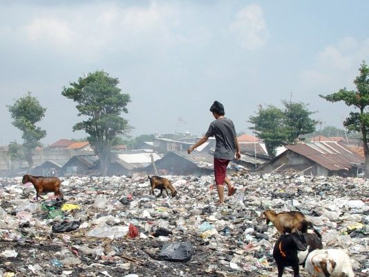 বিশ্ব উষ্ণায়ন ও জলদূষণের জন্য দায়ী প্লাস্টিক