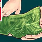 পায়ে ব্যথা? বাঁধুন বাঁধাকপি