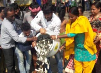 ঘাটতি মেটাতে দামোদরে ছাড়া হল মাছের চারা