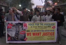 কুকুর নিধনকান্ডে প্রতিবাদ মিছিল