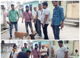 জলাতঙ্ক আটকাতে পথকুকুরদের রেবিস প্রতিষেধক কর্মসূচী