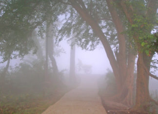 রাজ্য জুড়ে আরও জাঁকিয়ে ঠান্ডা