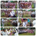 বৃক্ষরোপন কর্মসূচীর মাধ্যমে পরিবেশ দিবস পালন কোক ওভেন থানার