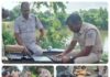 গাঁজার ‘গেমপ্ল্যান’ ভেস্তে দিল পুলিশ! ৫৩ কেজি গাঁজা-সহ জালে ৩ পাচারকারী